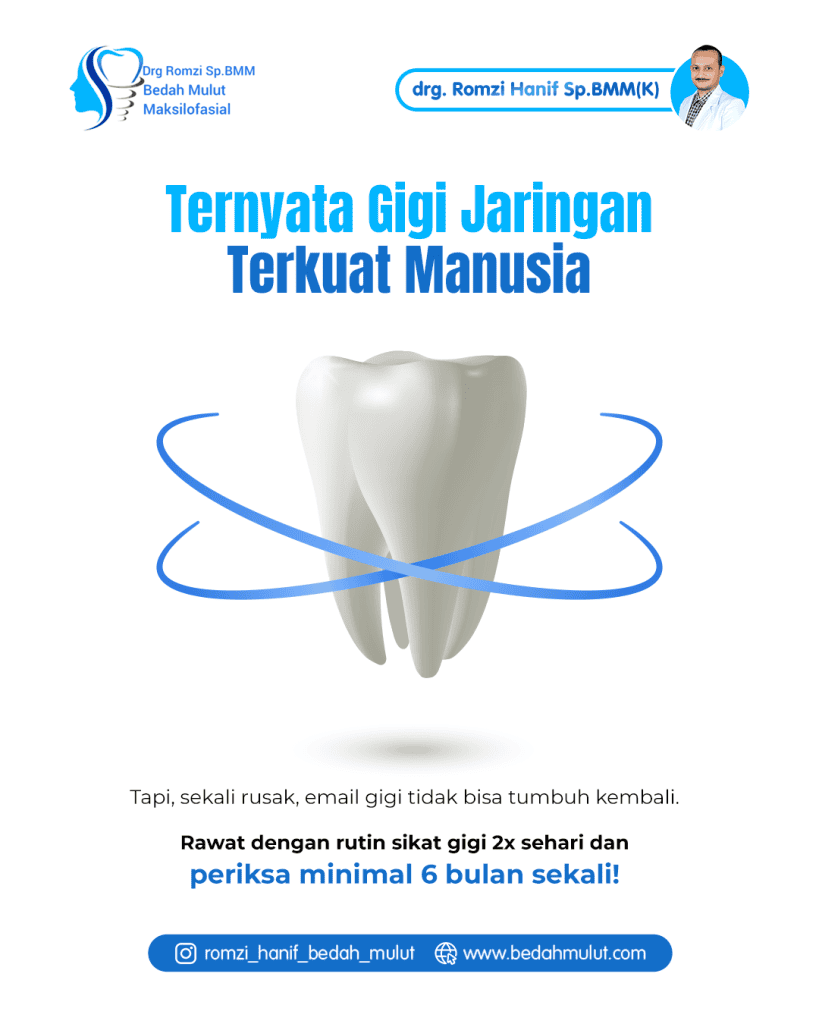 Ternyata Gigi Adalah Jaringan Terkuat Manusia: Fakta di Balik Email Gigi yang Tak Bisa Beregenerasi